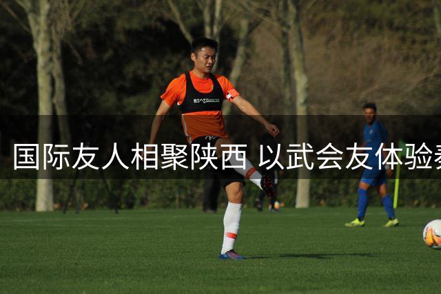国际友人相聚陕西 以武会友体验秦风
